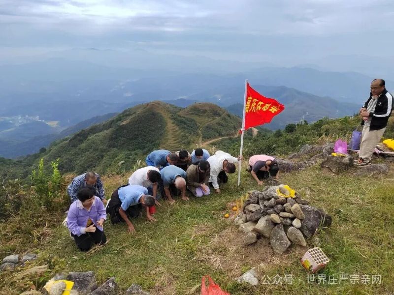 1762223439745431.jpg 640 (1).jpg