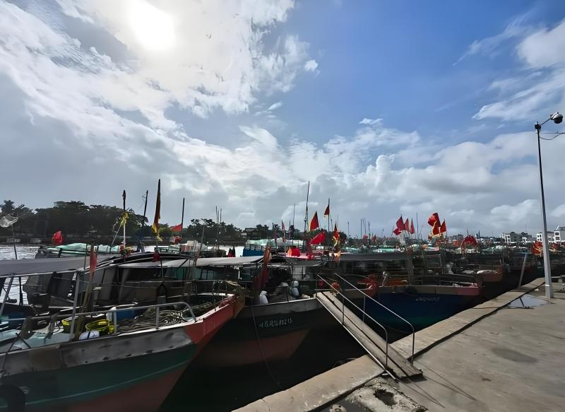 1764029645497689.jpg 图片1.jpg